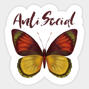 Antisocial Butterfly Sticker